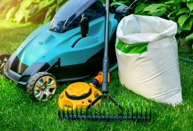 Lawn Care vs. Lawn Maintenance
