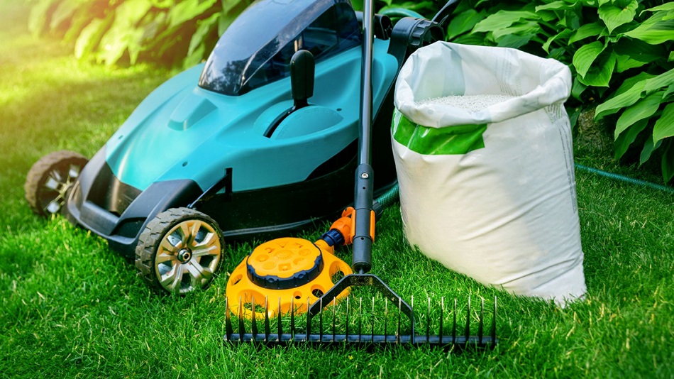 Lawn Care vs. Lawn Maintenance
